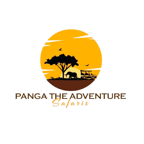 IMAGE PANGA (4)