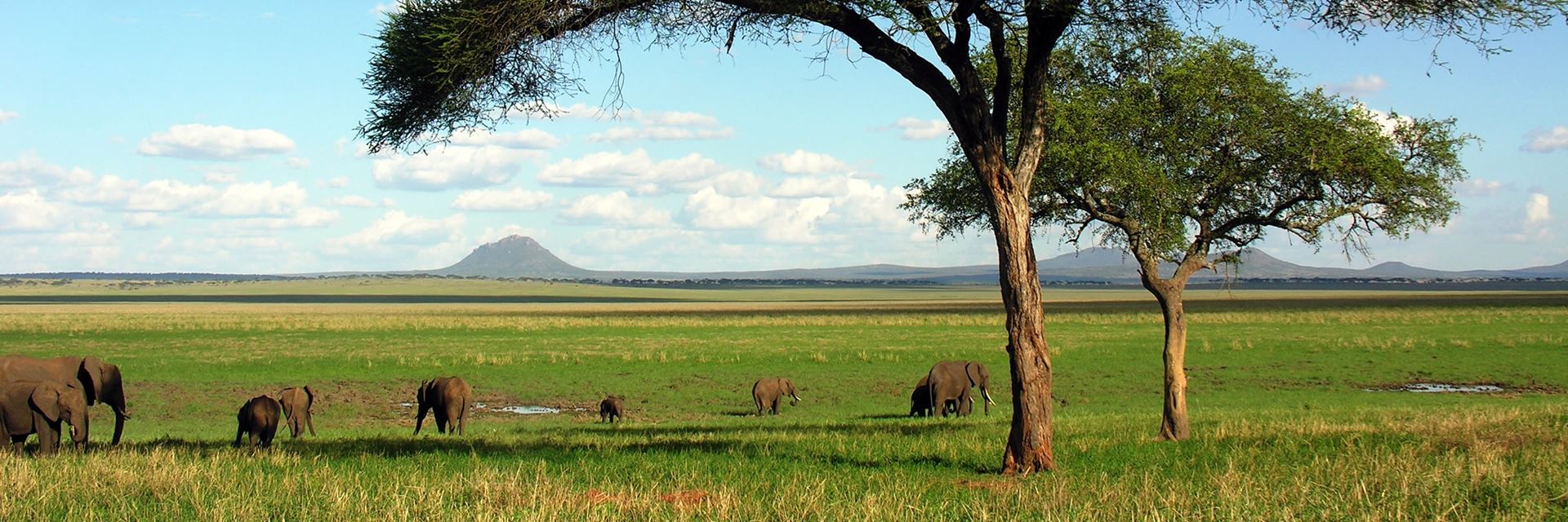 Tarangire-National-Park-day-tour-1 (1)