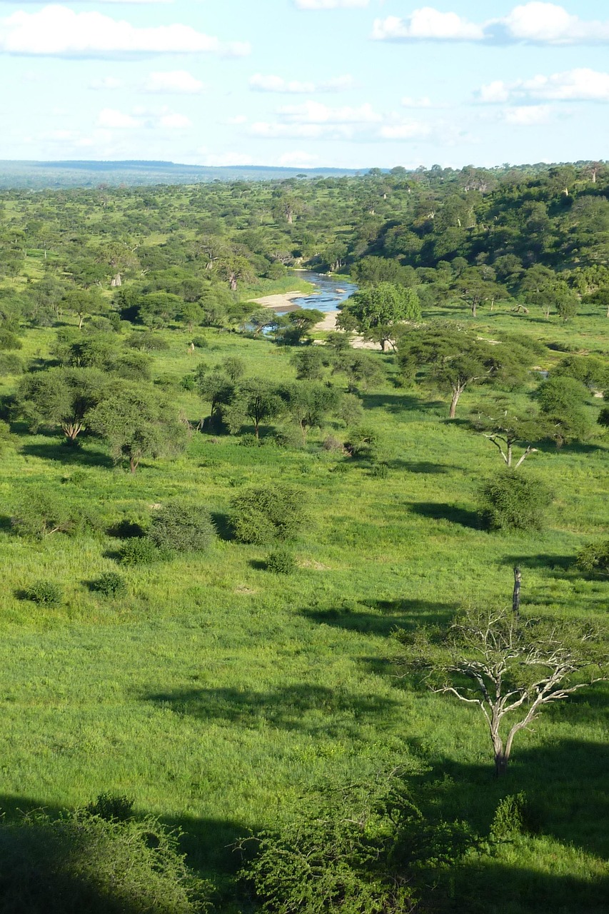 africa-222835_1280