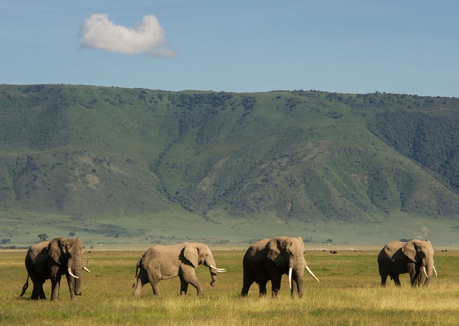 b9aeca5b-9b05-4e87-89dd-185276e8141c.Ngorongoro_Crater_TA_TanzZanz