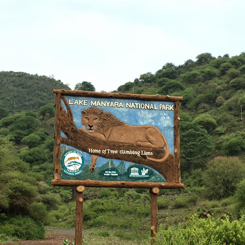 tanzania_lake_manyara_exploringafrica_safariadv_romina_facchi_travel_safari