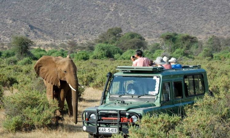 Game-Drives-in-Tsavo-National-Park-750x450 (1)