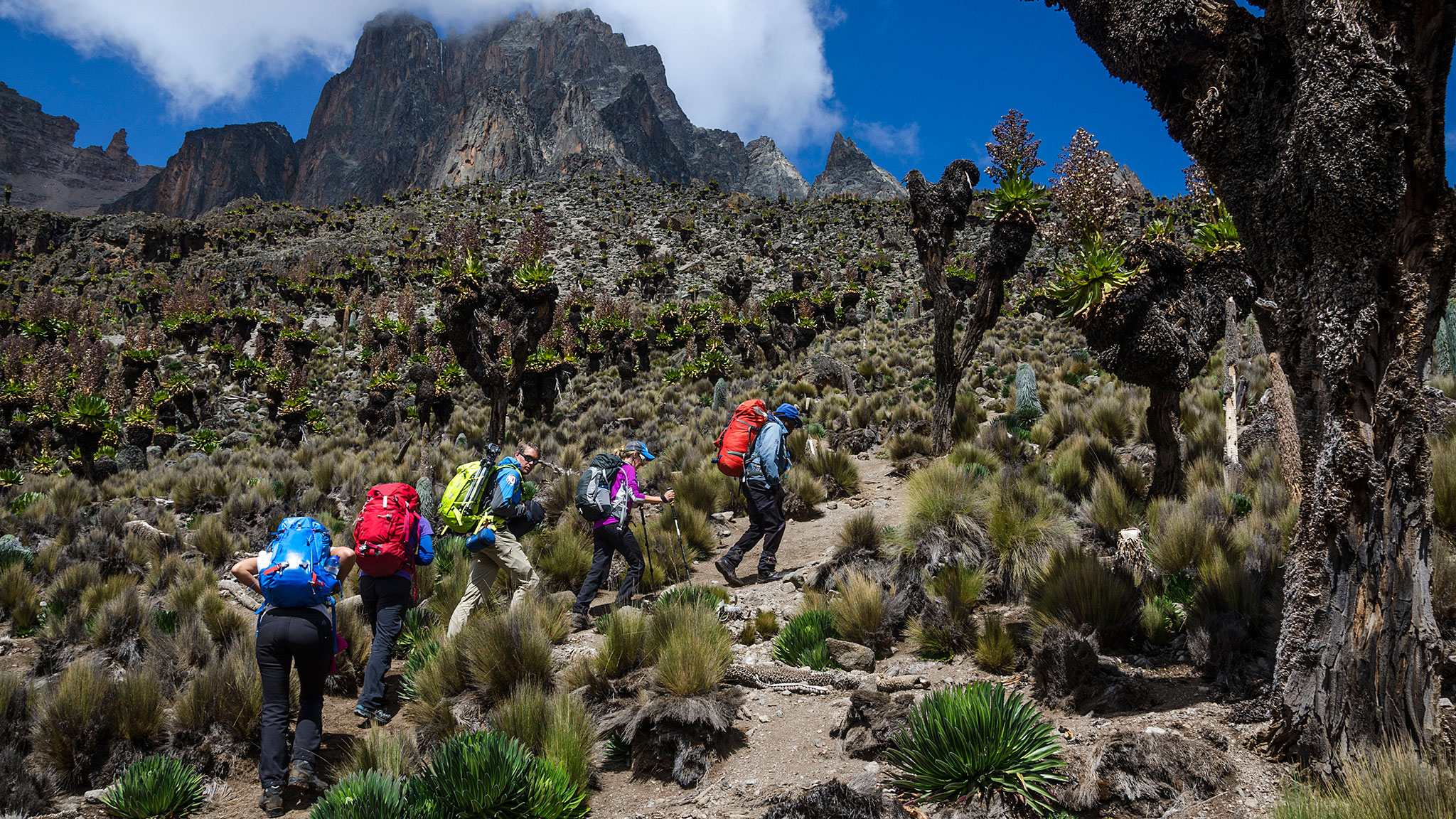 How-to-Get-to-Mount-Kenya