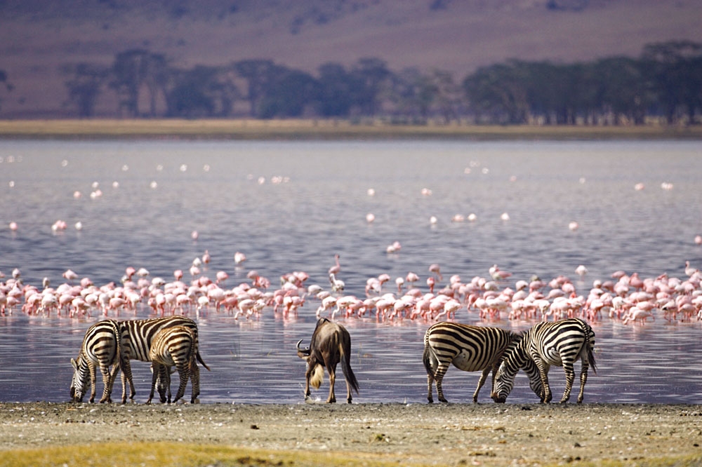 Lake-Nakuru-National-Park