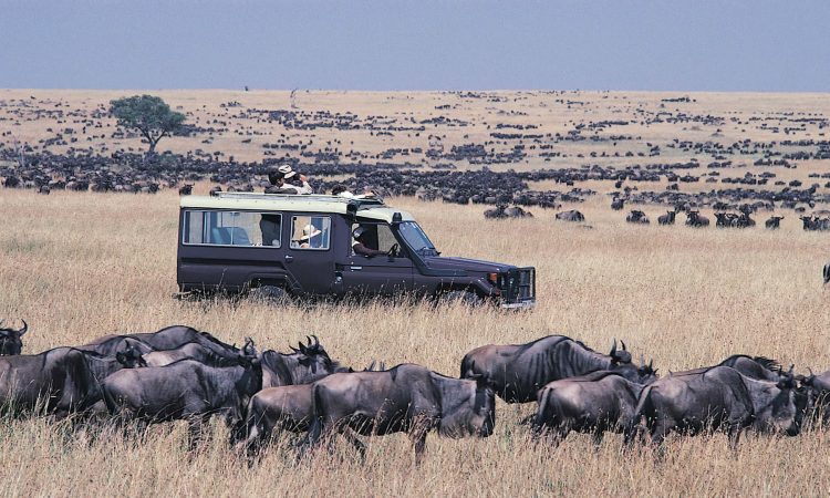 Maasai-Mara-National-Reserve-750x450 (1)