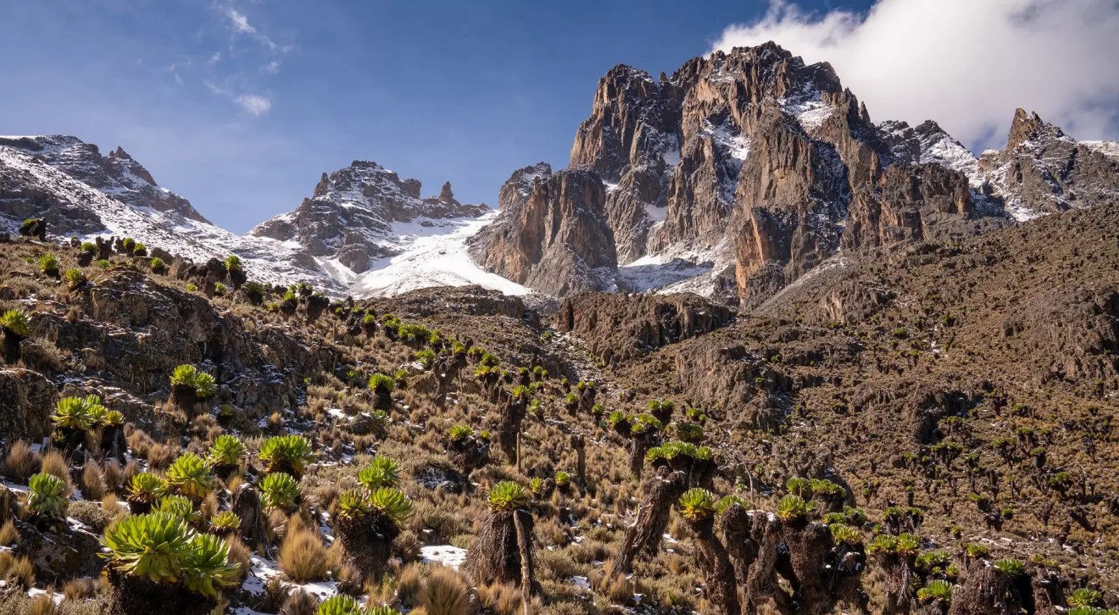 Panorama-of-Mount-Kenya _iStock-1307912622