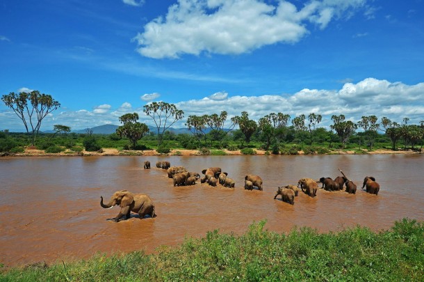Samburu-National-Park (1)