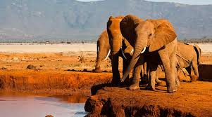 Tsavo-National-Park-west