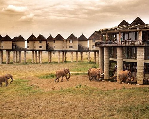 Tsavo-National-Park