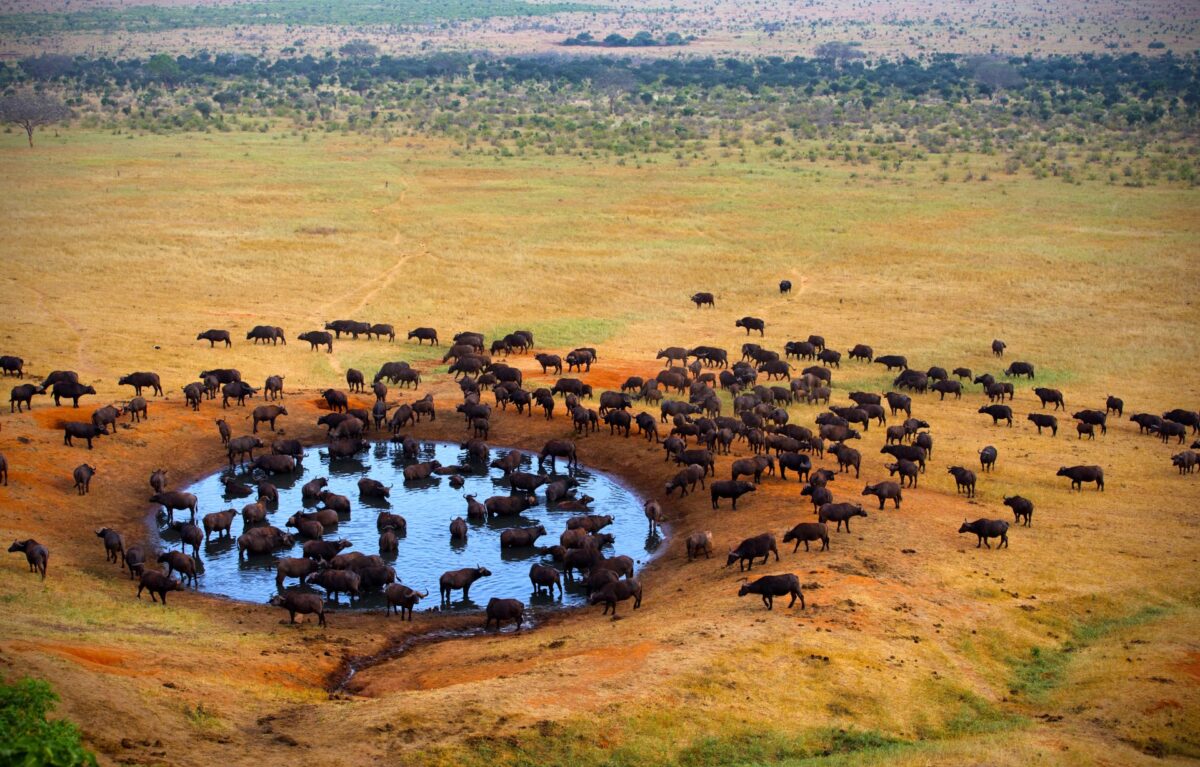 Tsavo-West-National-Park-1-1200x767 (1)
