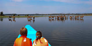 boat safari
