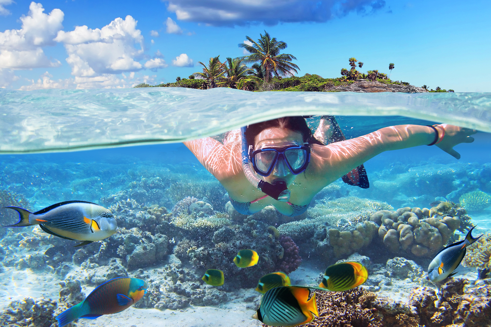 Young,Woman,At,Snorkeling,In,The,Tropical,Water