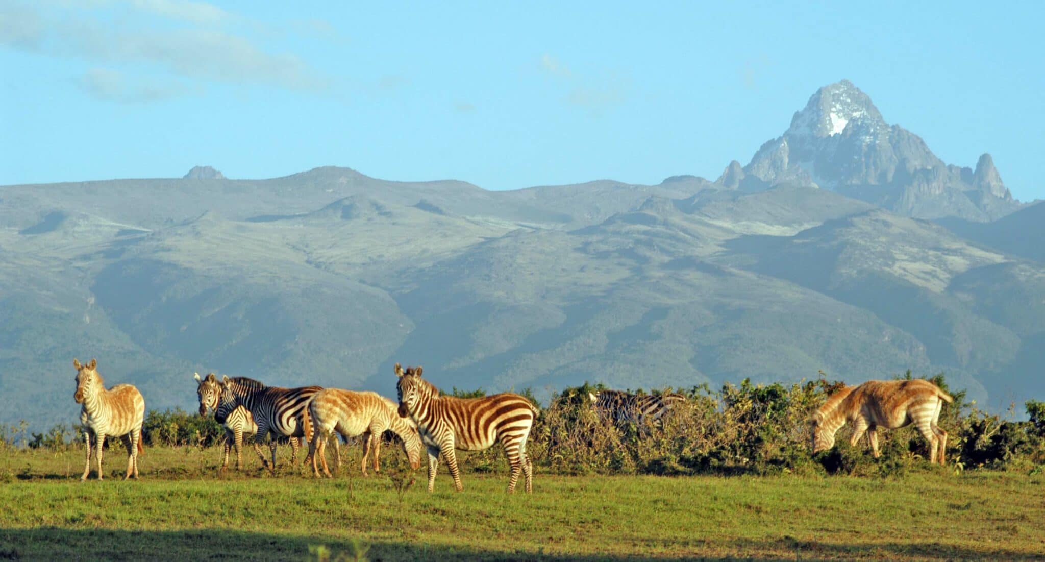 mt-kenya-np-scaled