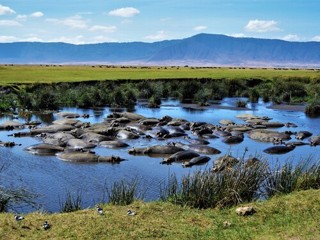 ngorongoro crater