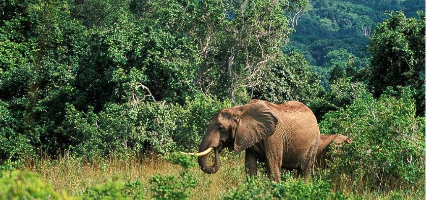 shimba-hills-national-park-1