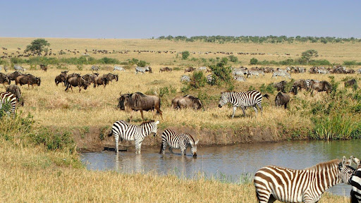 tsavo